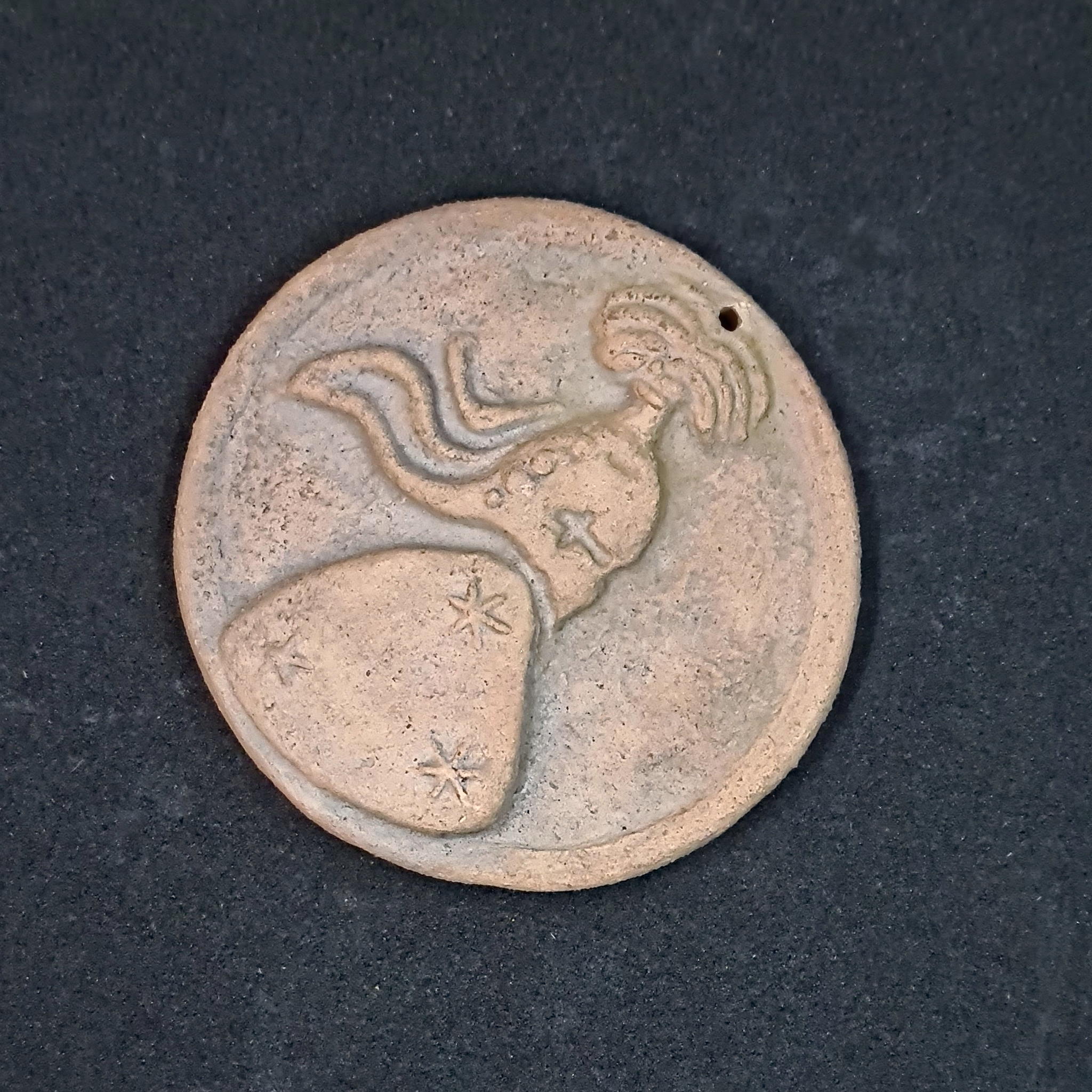 Medaljon z grbom Celjskih grofov
